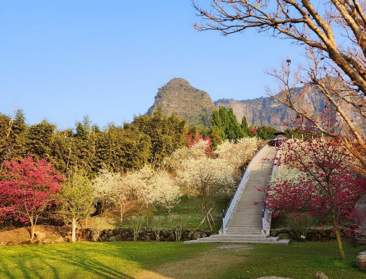 寒溪呢森林人文叡地