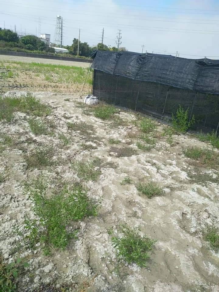 2022042719411285mM