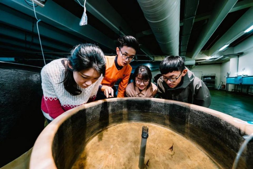 見證魚卵孵化前珍貴模樣　屏東海生館體驗生命的悸動