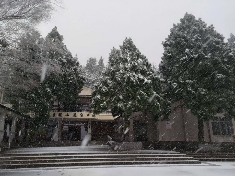 拉拉山及東眼山國家森林遊樂區 喜迎降雪遊客步行入園賞雪