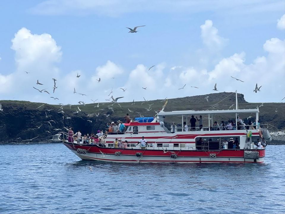 2024澎湖四季旅遊　澎管處推出「春賞鷗跳島遊程」