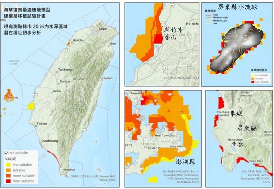 海洋藍碳復育從選點做起  經評估澎湖縣最佳