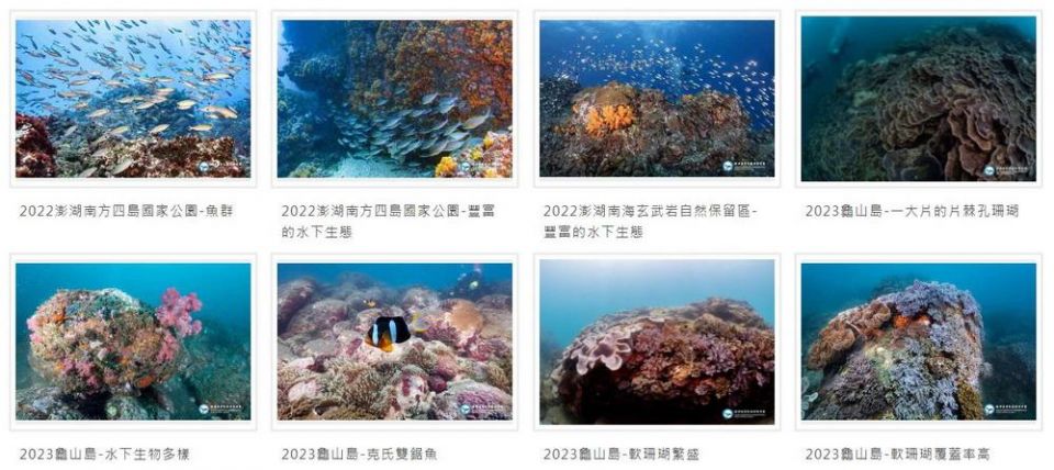 記錄海洋精彩時刻~海洋保育署推出「海洋保育圖庫專區」