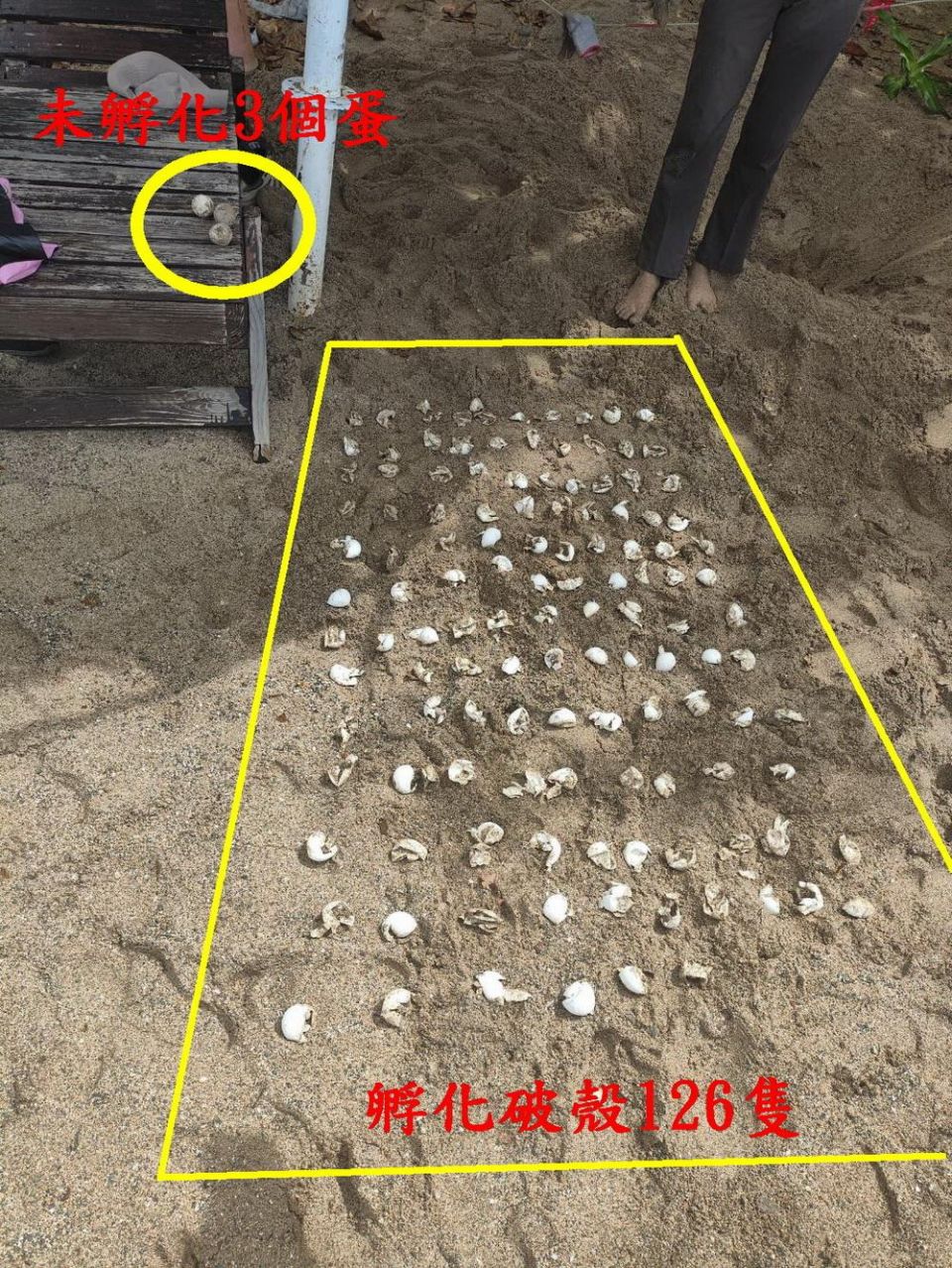 20250821183000PO1M