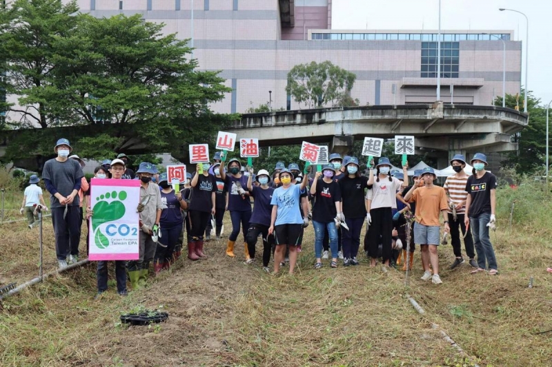 期能再見金黃花海 嘉大師生復育原生種「阿里山油菊」