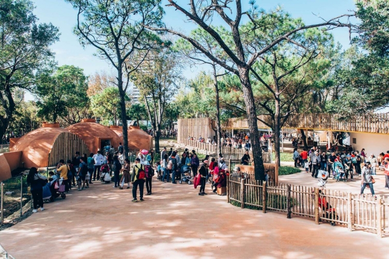 經歷休園 新竹動物園85周年慶來了！