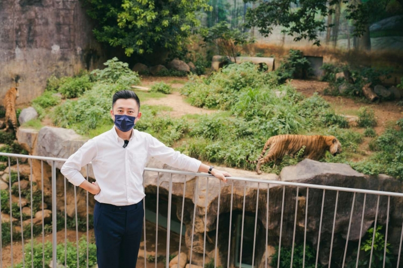 新竹市立動物園初一開園 老虎兄弟、虎年紀念票陪你過新年