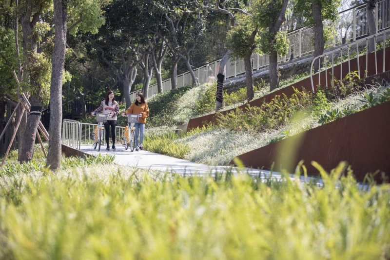 竹竹苗、台中及新竹科學園區YouBike跨區借還免收調度費