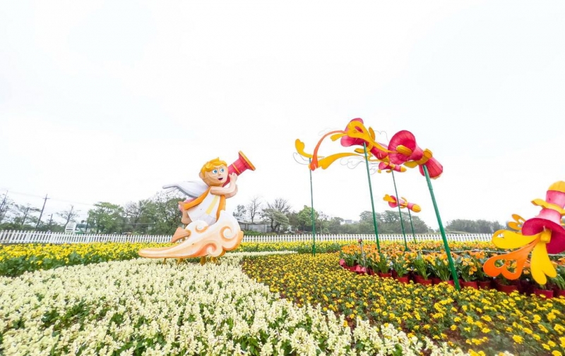 2022桃園彩色海芋季 7.2萬株繽紛綻放