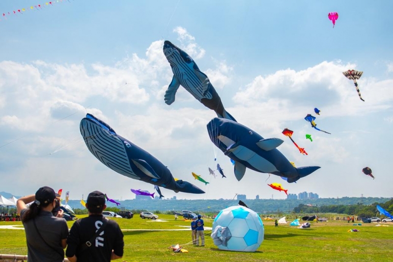 桃園國際風箏節歡樂登場 大型鯨魚風箏「鯨」艷天際