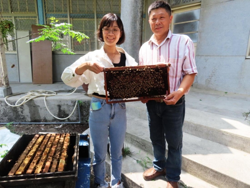 嘉義「四季蜂收」蜂蜜 打造蜂蜜生態教育園區