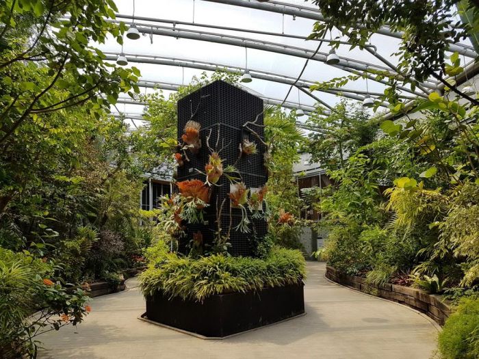 迎接「植感生活月」 臺北典藏植物園與您共度涼夏