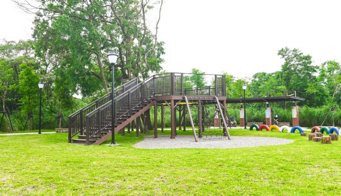 大溪區落羽松公園啟用 成浪漫遊憩亮點