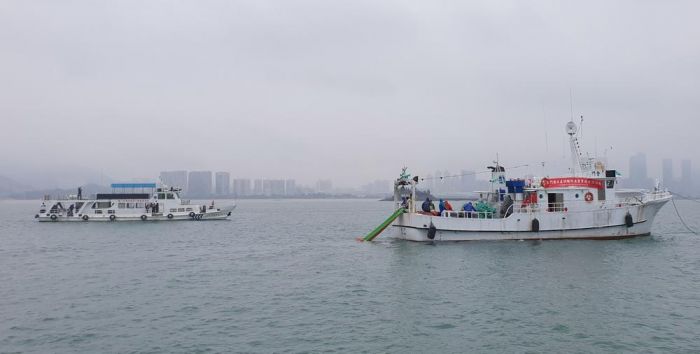 世界海洋日 兩岸漁業單位於金廈海域放流魚苗