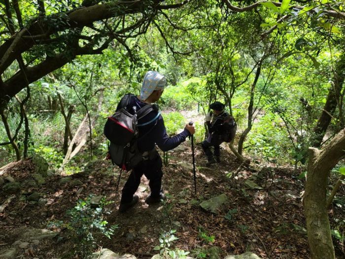 瑪家鄉舊筏灣登山客失蹤  男子尋獲已無生命跡象