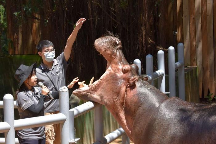 竹市立動物園歡慶300萬人次! 樂樂見面會、集章闖關抽獎