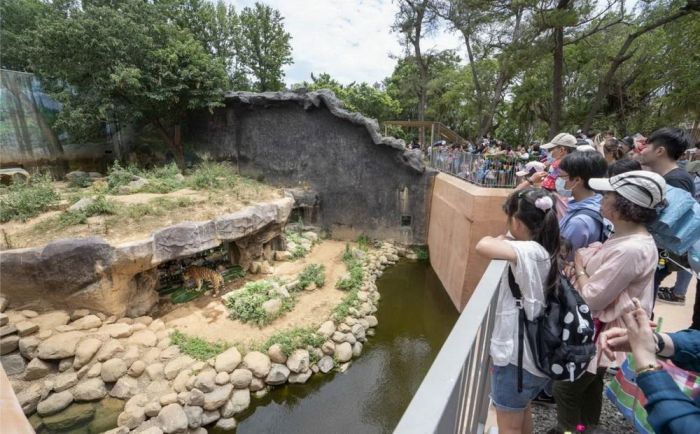 新竹市立動物園響應軍人節8/31-9/4現職軍人(眷)免費入園