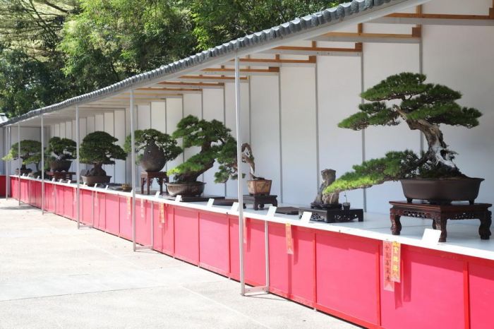 2022年南投樹石大展　埔里國際花卉物流中心開展