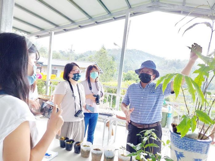 林務局輔導社區發揮在地力量 伊藤氏原始觀音座蓮復育成功