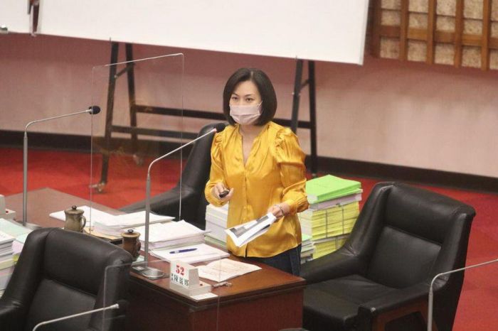 陳麗娜檢視陳其邁四大優先政策 認為「熱鬧有餘、實用性不足」