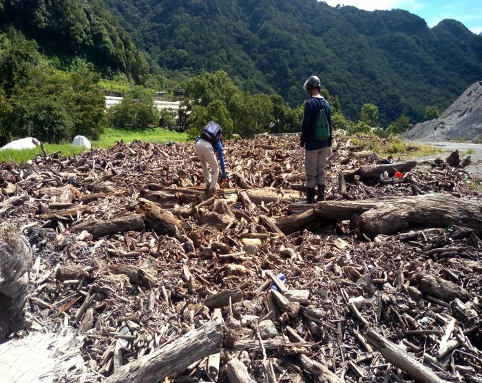 彰化海岸地區漂流木開放撿拾 大小重量規定限制要注意