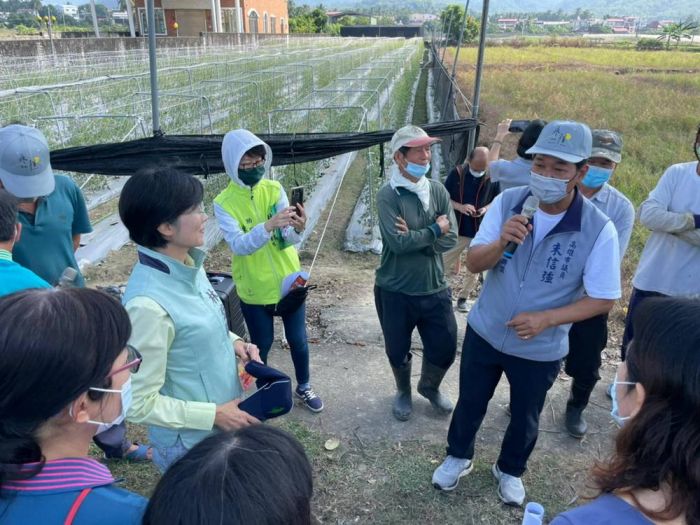 高市議員朱信強為農民爭取小番茄現金補助
