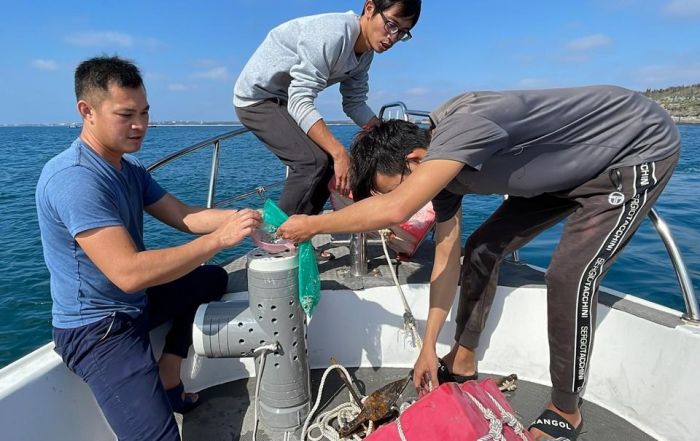 台電與澎湖海洋生物研究中心合作 龍門海域放流銀塔鐘螺