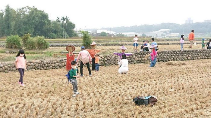 中市外埔中山社區黃金稻浪節登場 推廣地農村特色及有機產業