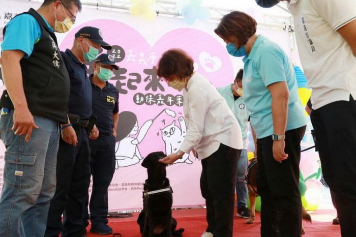 嘉義市率彰投雲嘉南之先 動保自治條例12/18正式施行成為動物友善城市