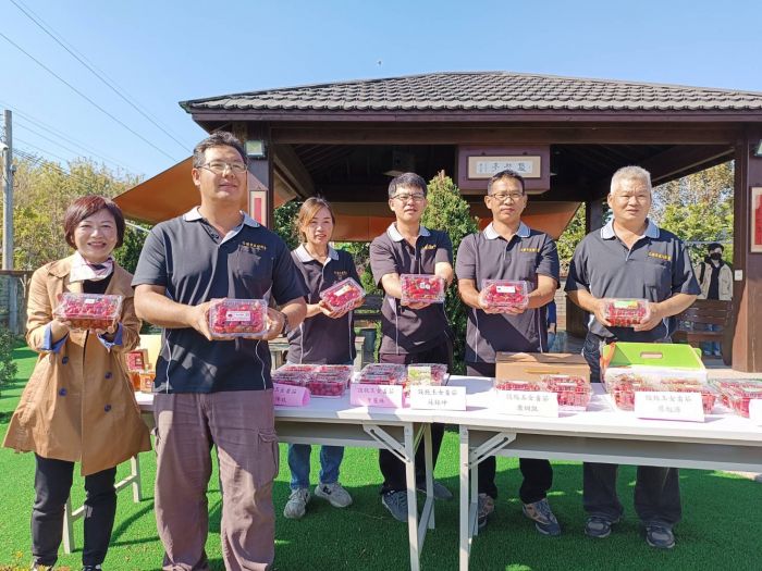 品嚐正當季小果番茄好時機 花壇溫室小果番茄新鮮上市