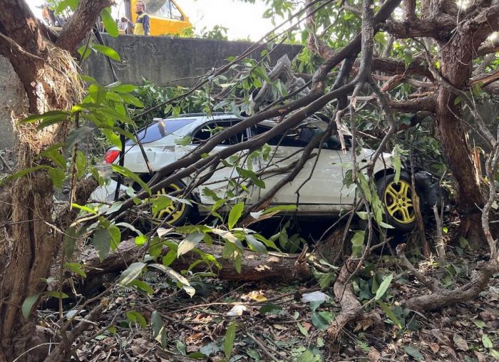 枋寮鄉台1線自小客車疑為閃貓 衝進蓮霧園1死1傷