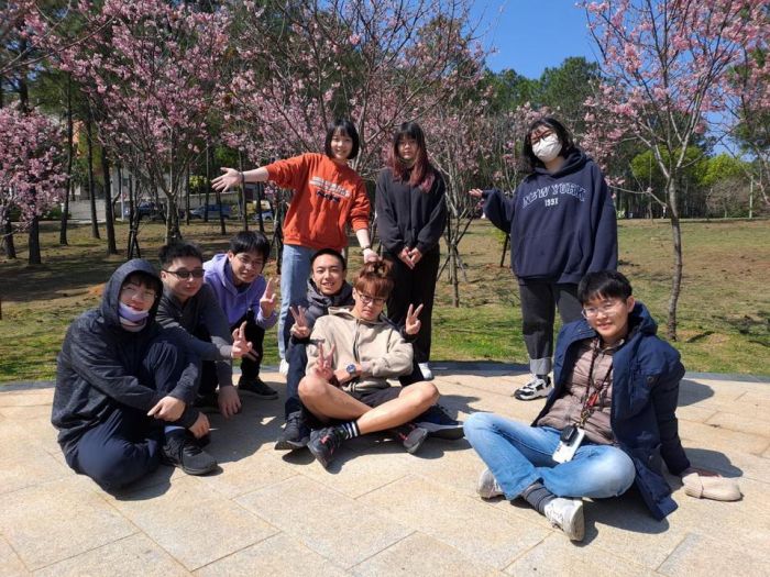 金門大學櫻花盛開  歡迎大家前來賞櫻打卡