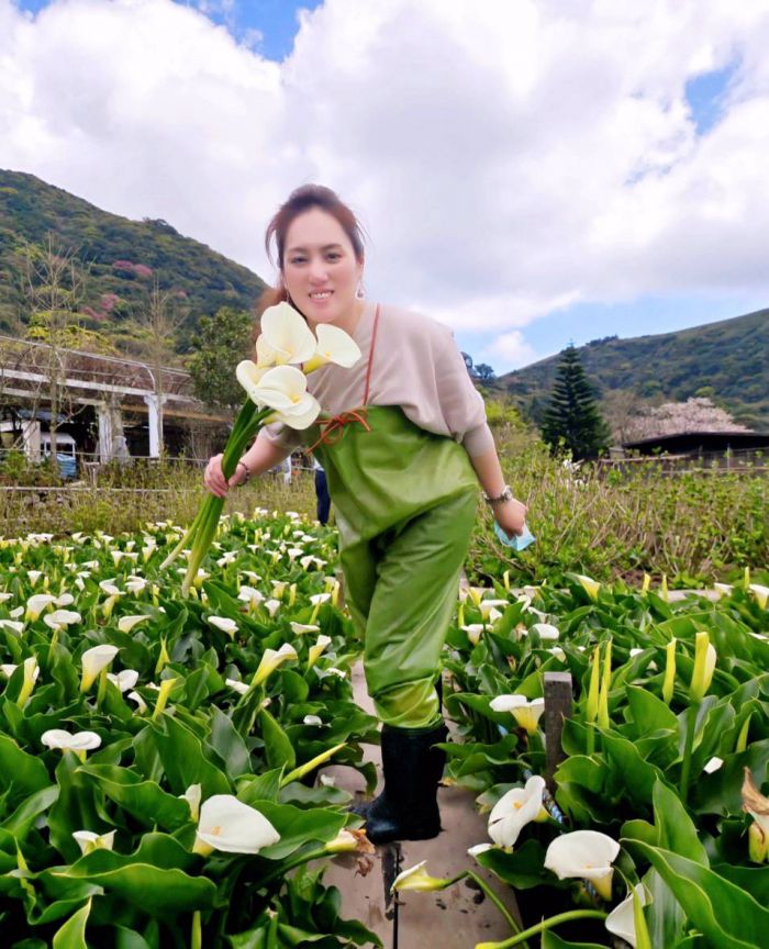 「獨旅．偶遇」　2023竹子湖海芋季3/14白色情人節開跑﻿