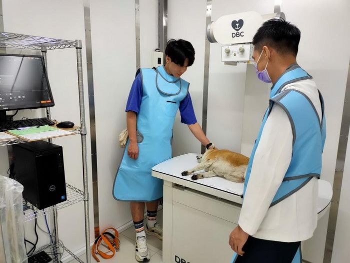犬貓絕育補助3/10開跑 嘉市府籲飼主快申請一起寵愛毛小孩