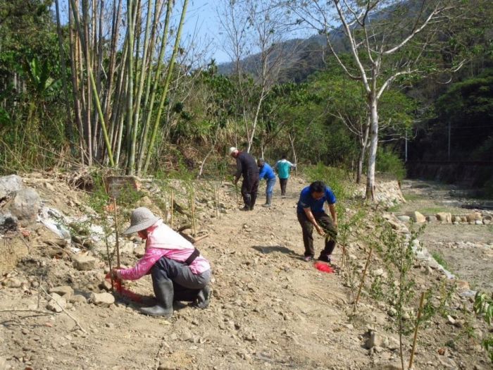水里民和齷齪坑植樹綠美化  延伸日月潭森活圈