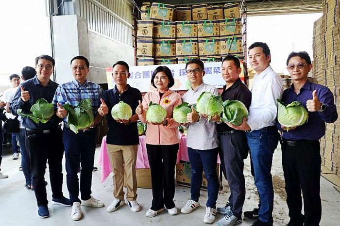 雲林縣府媒合團膳業者購買高麗菜　協助市場供銷回穩