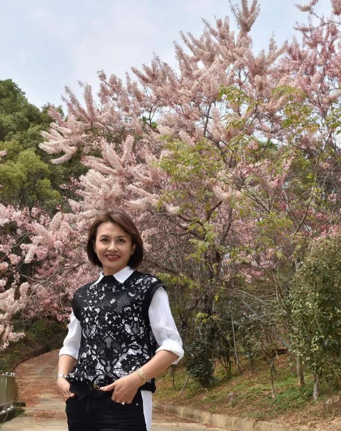 花旗木廊道賞花　立委邱議瑩：感受六龜自然美景
