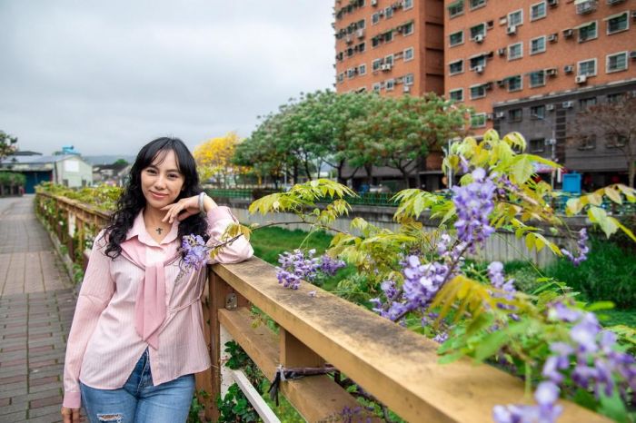 新北鴨母港溝百花爭相盛開　紫藤花爭豔綻放