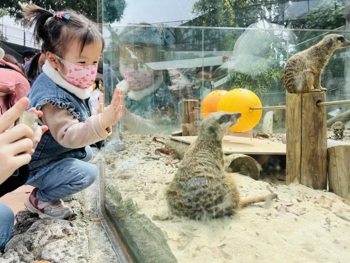 兒童節連假必玩景點　高雄推出12歲以下免費入園