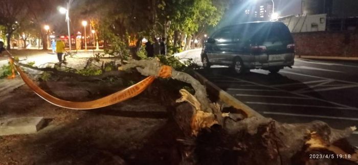 左營區新中里微笑公園內有棵路樹倒下並壓傷1人