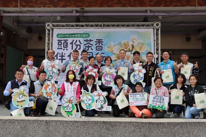 桐花小旅行結合製茶體驗　頭份桐花活動起跑