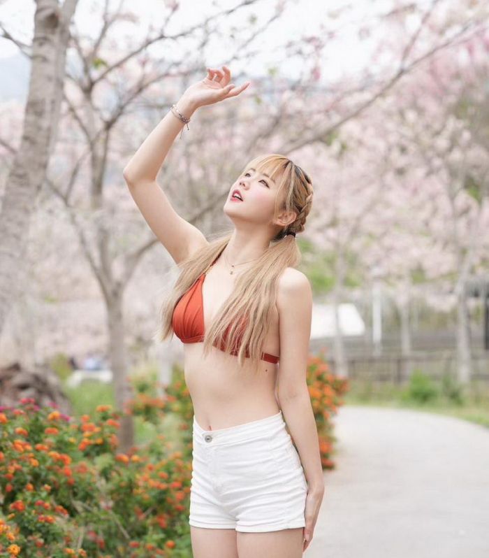 「森濤」 漫步藤枝國家森林公園 4/21起免預約入園