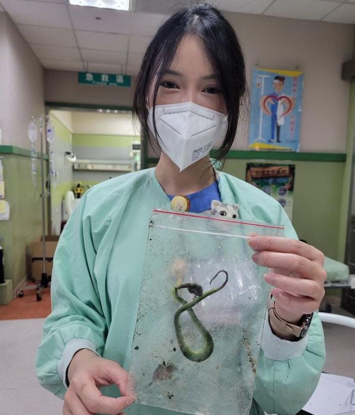 毒蛇出沒注意！　勿用口吸蛇毒應盡速注射血清