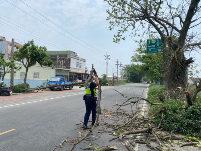 路樹倒塌影響交通　豐榮警迅速排除