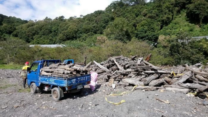 南投、彰化及雲林自即日起開放  濁水溪流域漂流木撿拾