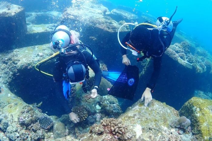 海洋保育署「潛海戰將攜手淨海大會」　即日起至5/25開放報名