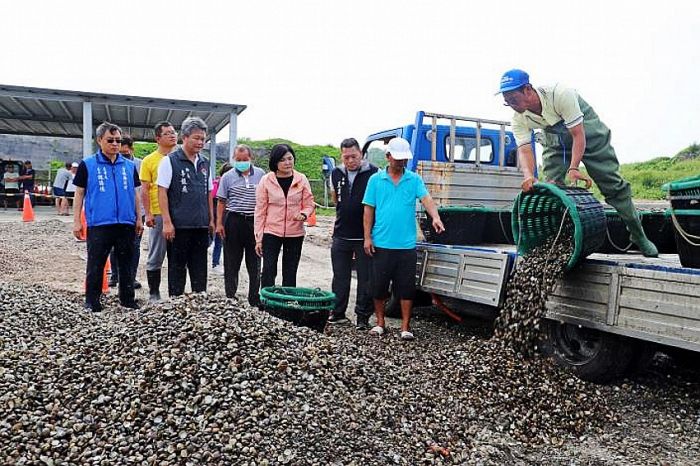 養殖文蛤天氣變化幾乎全軍覆沒　張麗善爭取天然災害救助
