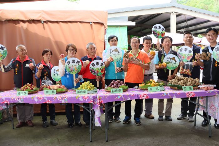 大湖薑麻園桃李開園迎賓　鄧桂菊力薦好滋味鮮果