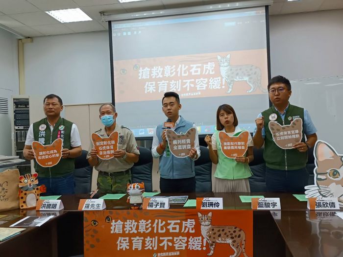 彰化發現一定數量石虎定居　保育界籲營造友善棲地搶救石虎