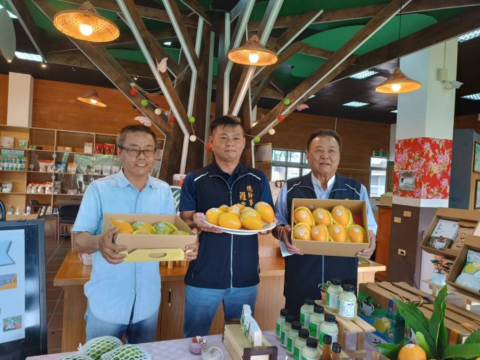 彰化二水鄉農會農民直銷站開賣啦 夏雪芒果首度亮相